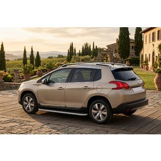 Side steps Tayga Grey (set van 2, aluminium) foto 1