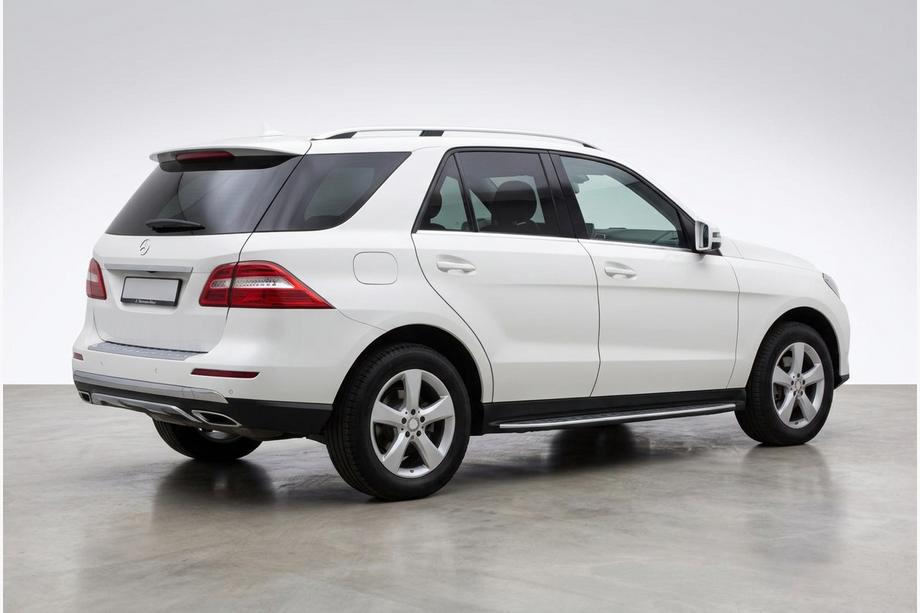 Mercedes GLE/ML-klasse W166 2011–2018 Duru zijtreden (set van 2, aluminium) Image