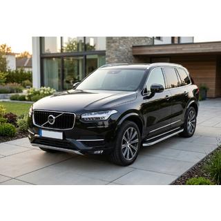 Side steps Tayga Grey (set van 2, aluminium) foto 1