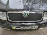 Skoda Octavia I Tour A4 1996–2010 Wintergrille (bovenste) foto 2