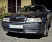 Skoda Octavia I Tour A4 1996–2010 Wintergrille (bovenste) foto 3
