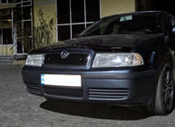 Skoda Octavia I Tour A4 1996–2010 Wintergrille (bovenste) foto 4