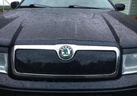 Skoda Octavia I Tour A4 1996–2010 Wintergrille (bovenste) foto 1