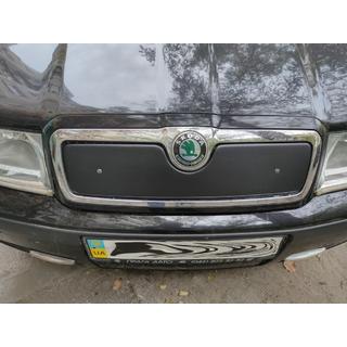 Wintergrille (bovenste) Skoda Octavia I Tour A4 1996–2010 foto 2
