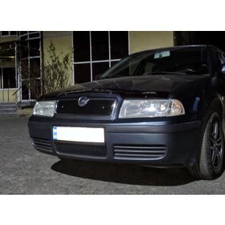 Wintergrille (bovenste) Skoda Octavia I Tour A4 1996–2010 foto 4