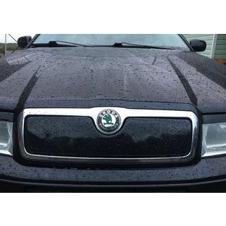 Wintergrille (bovenste) Skoda Octavia I Tour A4 1996–2010 foto 1