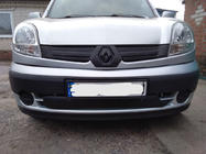 Renault Kangoo 1998–2008 Bovenste winterrooster (2003-2008) Mat foto 2