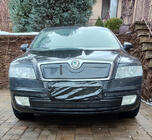 Skoda Octavia II A5 2006–2010 Winterafdekking radiateurgrille (onderste) Glanz foto 1