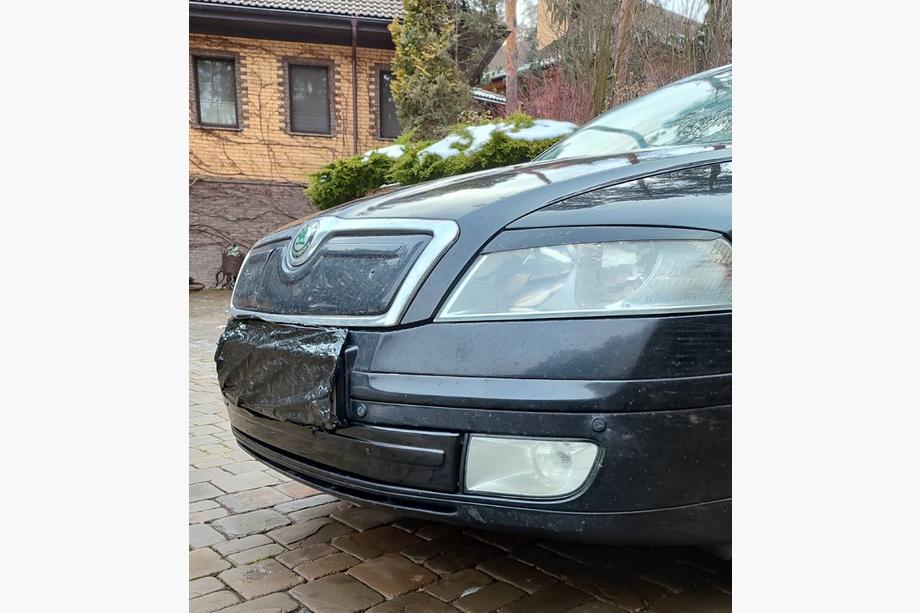 Skoda Octavia II A5 2006–2010 Winterafdekking radiateurgrille (onderste) Foto 2