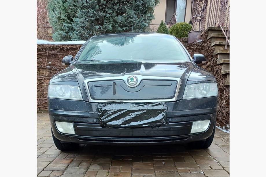 Skoda Octavia II A5 2006–2010 Winterafdekking radiateurgrille (onderste) Glanz Image