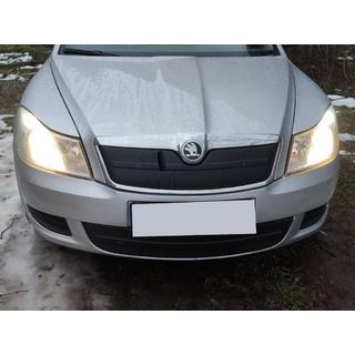 Winterafdekking voor grille (bovenste) foto 1