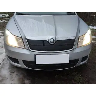 Winterafdekking voor grille (bovenste)