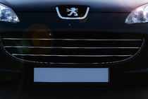Peugeot 407 2004–2011 Sierlijsten voor grille (3 stuks, RVS) OmsaLine - Italiaans roestvrij staal foto 1