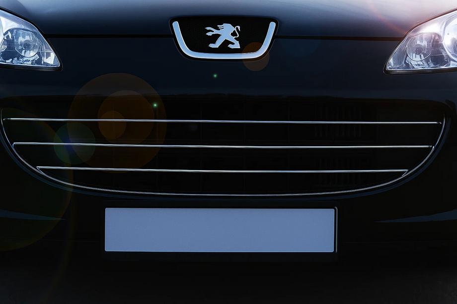 Peugeot 407 2004–2011 Sierlijsten voor grille (3 stuks, RVS) OmsaLine - Italiaans roestvrij staal Image