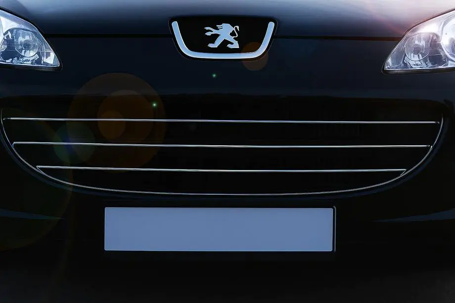 Peugeot 407 2004–2011 Sierlijsten voor grille (3 stuks, RVS) Foto 1