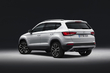 Eerste rijtest van de Seat Ateca crossover foto 5
