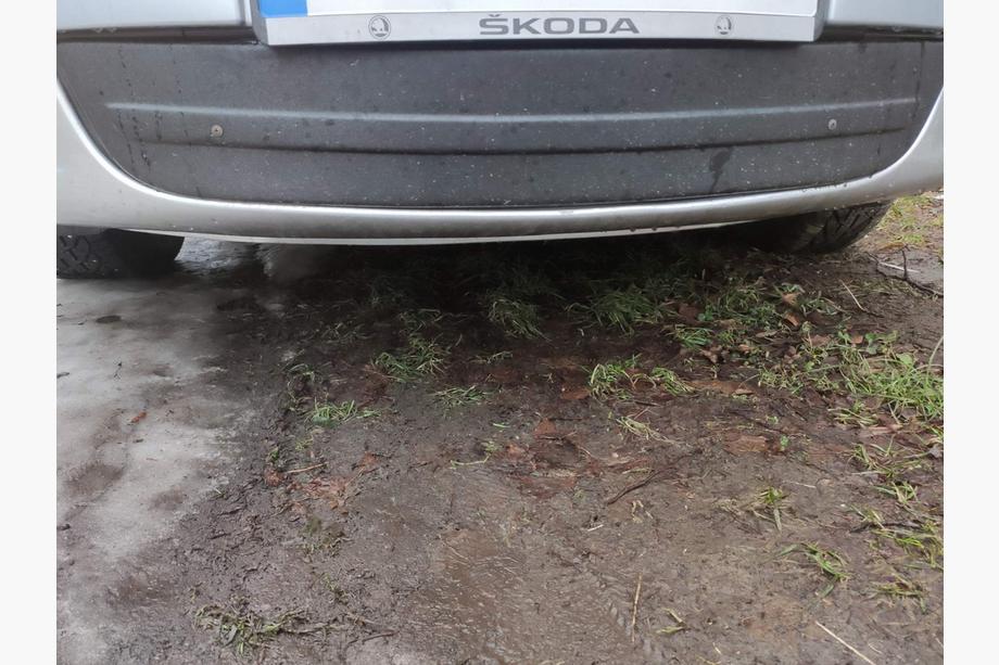 Skoda Octavia II A5 2010–2013 Winterafdekking radiateurgrille (onderste) Mat Image