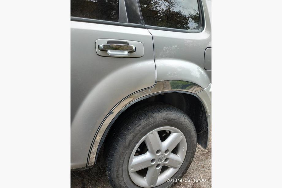 Nissan X-trail T30 2002–2007 RVS wielkastlijsten (set van 4 stuks) Foto 2