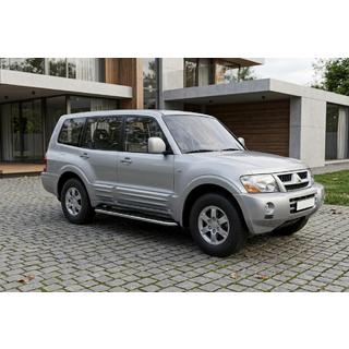 Maydos V1 side steps (set van 2, aluminium/RVS) foto 1