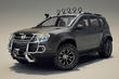 Aanpassingen aan Renault Duster foto 1