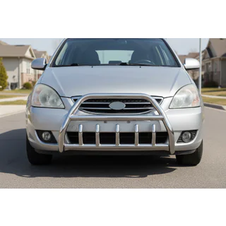 Bullbar WT003 (RVS) foto 1