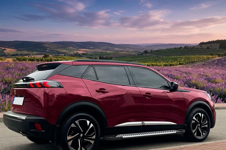 Peugeot 3008 2016–2023 Side steps Line (2 stuks, aluminium) Image