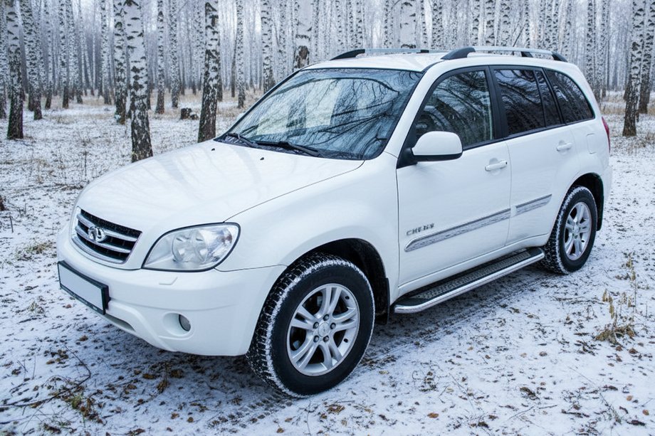 Chery Tiggo 1 2005–2016 Zijtreden Maydos V2 (2 st., aluminium/RVS) Foto 1