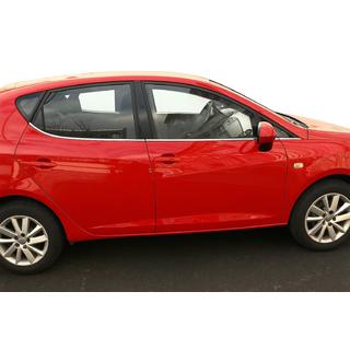 Buitenste raamomlijsting (RVS) Seat Ibiza 2010–2017