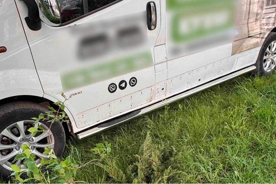 Opel Vivaro 2015–2019 Sidebars (2 stuks, RVS) 70 mm, lange wielbasis Foto 6
