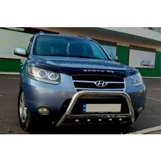 Bullbar WT004 (RVS)