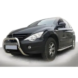 Bullbar WT005 (RVS)