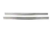 Citroen C-2 2003–2009 OmsaLine instaplijsten (2 stuks, RVS) foto 2