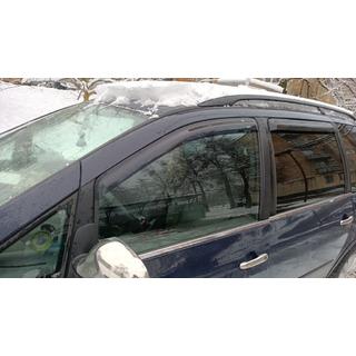 Raamomlijsting (4-delig, RVS) Ford Galaxy 1995–2006 foto 3