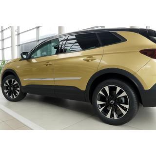 Deurstrip (set van 4, RVS) Opel Grandland X 2017– foto 1