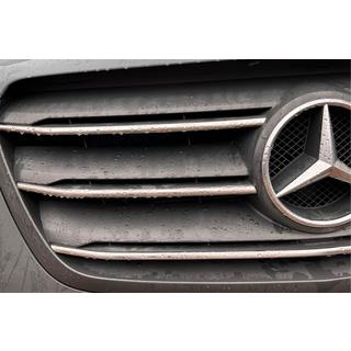 RVS sierlijsten voor grille (5 stuks) foto 3