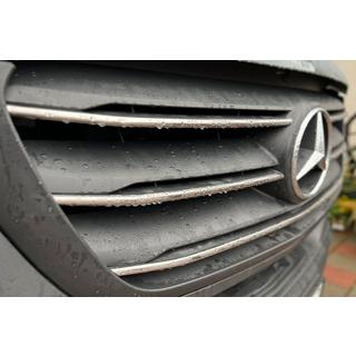 RVS sierlijsten voor grille (5 stuks) foto 4
