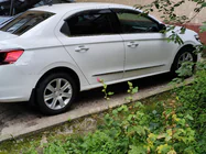 Peugeot 301 2012– RVS raamomlijsting foto 1