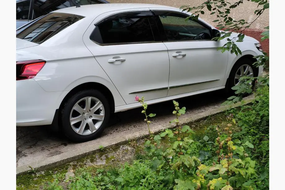 Peugeot 301 2012– RVS raamomlijsting Image
