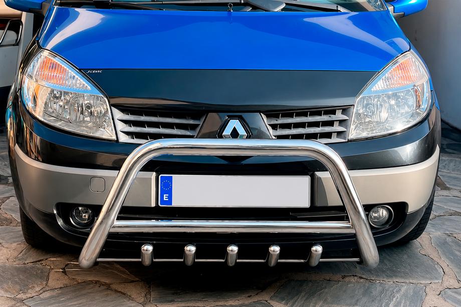 Renault Scenic/Grand 2003–2009 Bullbar WT003 (RVS) Image