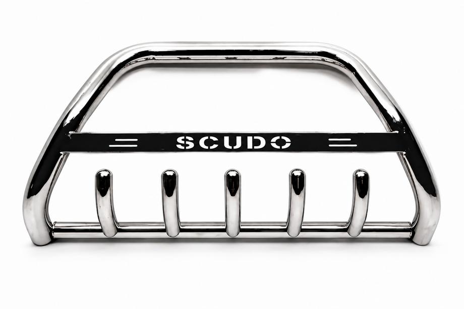 Fiat Scudo 1996–2007 Bullbar WT004 (RVS) Image