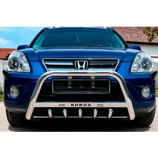 Bullbar WT004 (RVS)
