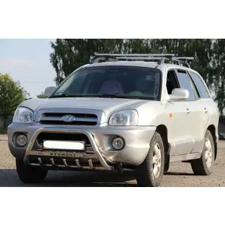 Bullbar WT004 (RVS)