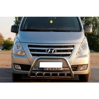 Bullbar WT004 (RVS)