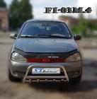 Lada Kalina 2004–2011 Bullbar WT003 (60 mm, RVS) foto 2