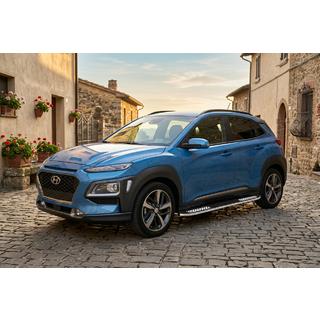 Tayga V2 side steps (2 stuks, aluminium) foto 1