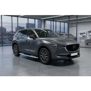 Tayga V2 side steps (2 stuks, aluminium) foto 1