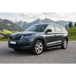 Side steps Bosphore Grey (set van 2, aluminium) Skoda Kodiaq 2016–2023 foto 1