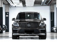 Mercedes GL/GLS-klasse X166 2012–2019 Radiatorgrille GT Panamericana (voor GL High) foto 1