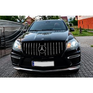 Radiatorgrille GT Panamericana (voor GL High) foto 3