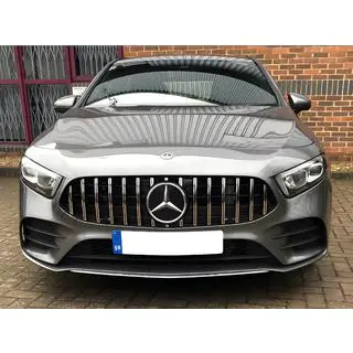 GT Panamericana voorgrille (voor 2018-2022) foto 4